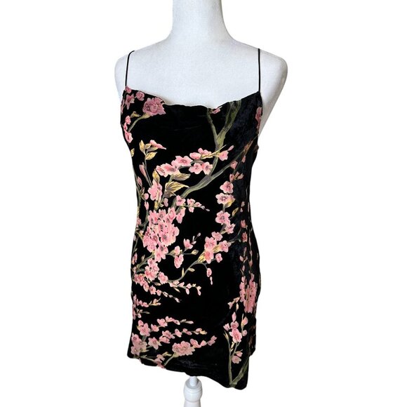 NWT PEPPERMAYO Floral Velvet Burnout Drape neck Mini Dress Size 6 - Picture 1 of 12